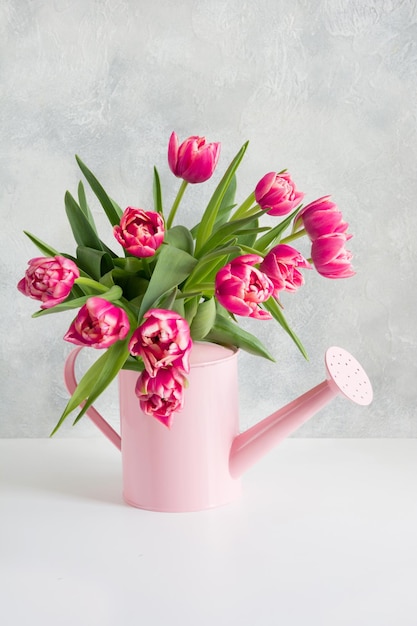 Annaffiatoio decorativo con tulipani rosa Concetto di giardinaggio