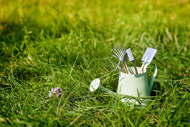 Annaffiatoio e strumenti di giardino su erba di estate