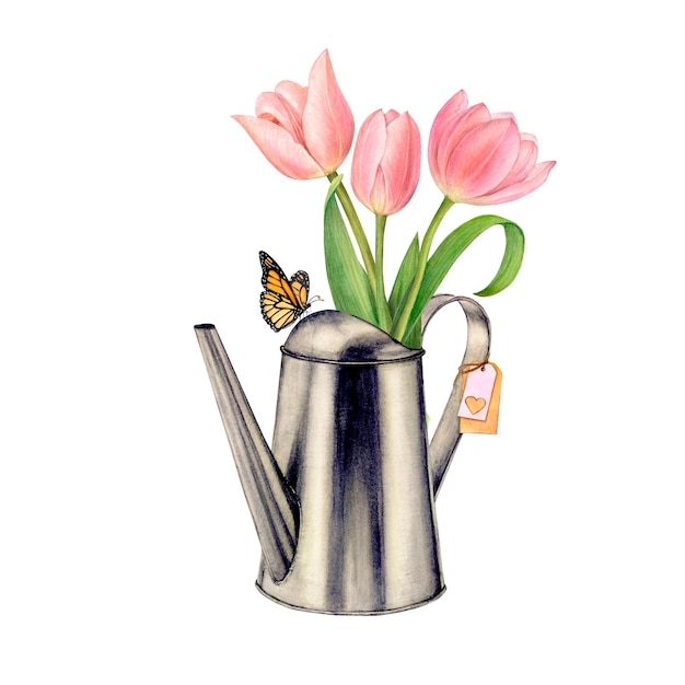 Annaffiatoio in ferro acquerello da giardino con bouquet di tulipani rosa e farfalla
