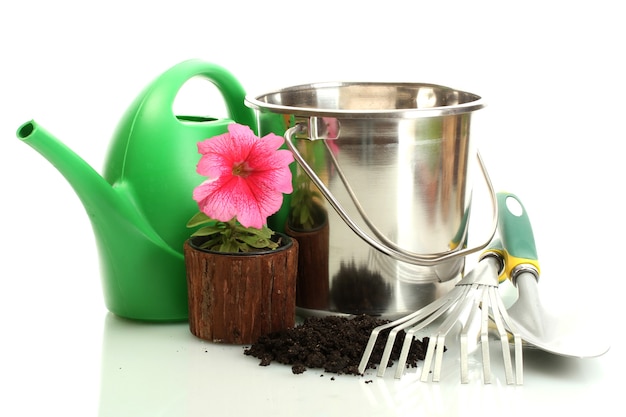 Annaffiatoio, secchio, strumenti e piante in vaso di fiori su bianco