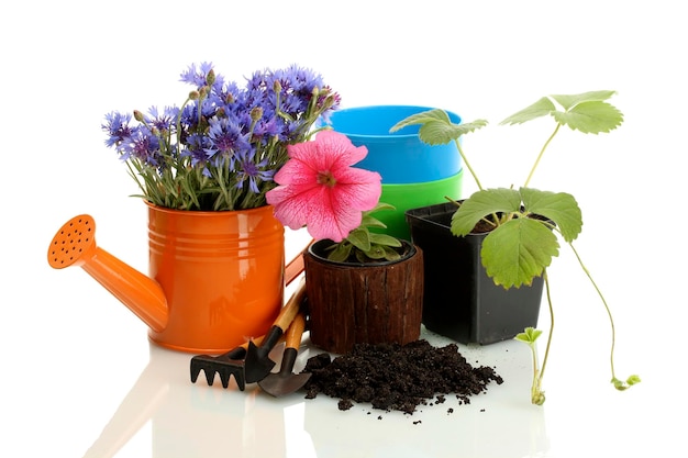 Annaffiatoio strumenti e piante in vaso di fiori isolato su bianco