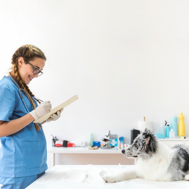 Annotazioni veterinarie femminili di scrittura in lavagna per appunti con il cane che si siede sulla tavola in clinica