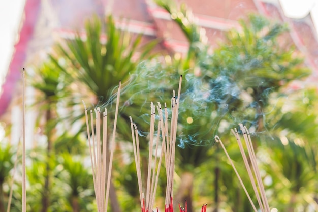 Annusa il fumo dell'incenso, il fumo del bastoncino d'incenso nel tempio, il fumo dell'incenso nel santuario degli spiriti.