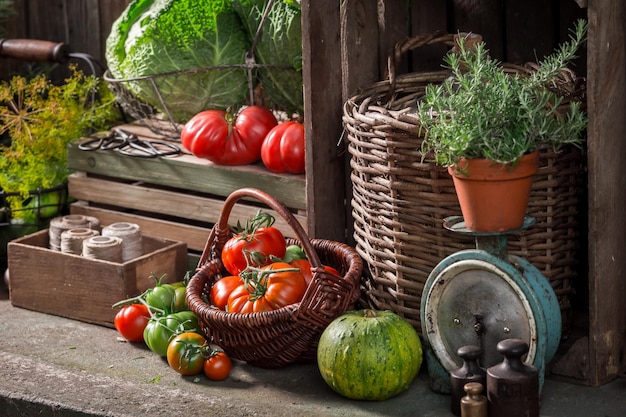 Antica cantina con frutta e verdura raccolte