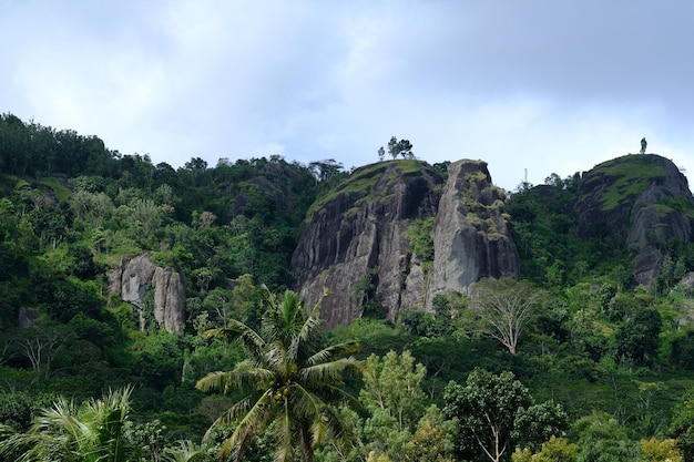 Antica formazione rocciosa vulcanica di Nglanggeran. un vulcano inattivo. roccia ignea. albero di cocco.