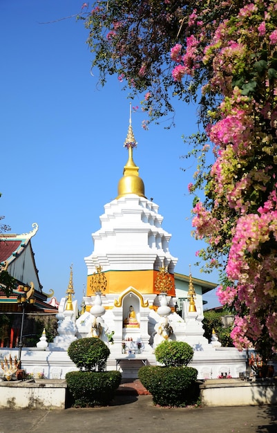 Antica pagoda chedi o antica vecchia stupa per il popolo thailandese viaggiatori visita e rispetto preghiera benedizione desiderio reliquia di Buddha mistero del tempio Wat Ming Muang a Chiangrai a Chiang Rai Thailandia