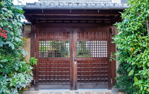 Antica porta di legno chiusa con giardino ombroso di flora verde