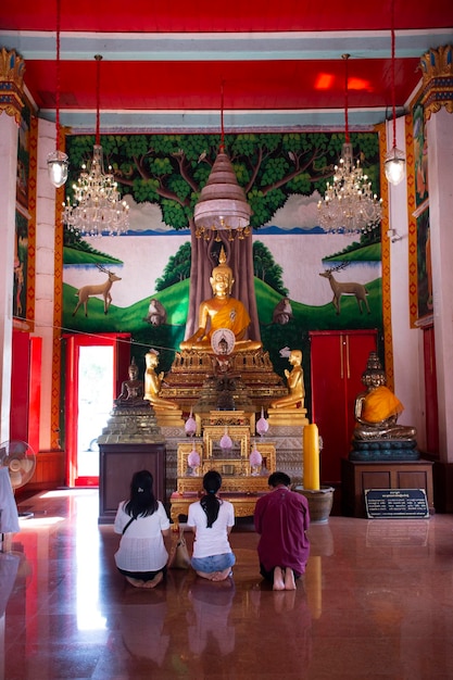 Antica statua di buddha antica per la gente tailandese viaggiatore viaggio visita e rispetto preghiera benedizione desiderio santo mistero adorazione nel tempio Wat Khae a Suphanburi il 13 dicembre 2022 a Suphan Buri Thailandia