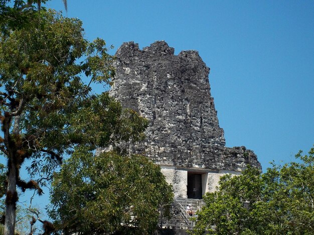 Antiche rovine a Tikal, Guatemala