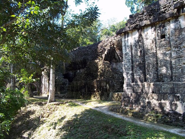 Antiche rovine a Tikal, Guatemala