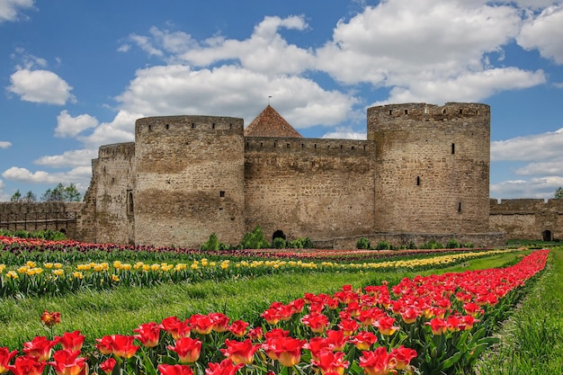 Antiche rovine del castello sullo sfondo di tulipani e un bel cielo a Belgorod Dnestrovsk Ukr