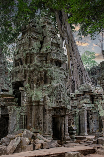 Antiche rovine del complesso del tempio di Ta Prohm in Cambogia