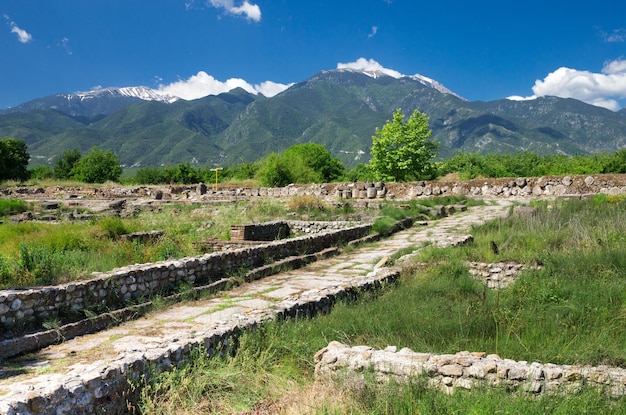 Antiche rovine di Dion