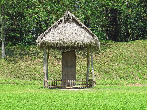 Antiche rovine di Maya, Messico