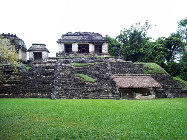 Antiche rovine di Maya Palenque Messico