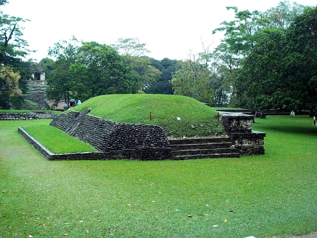 Antiche rovine di Maya Palenque Messico