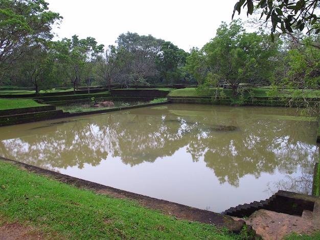 Antiche rovine di Sigiriya, Sri Lanka