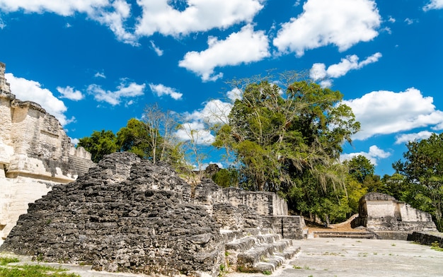 Antiche rovine Maya di Tikal. Patrimonio mondiale dell'UNESCO in Guatemala