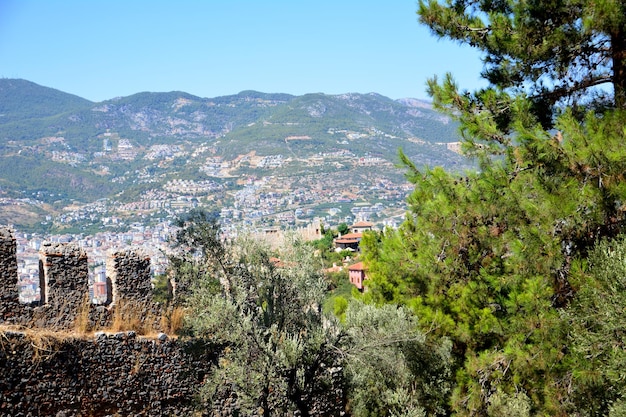 antico muro di mattoni con pino e montagne sullo sfondo