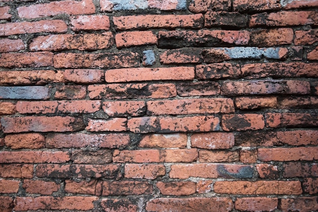 Antico muro di mattoni Distrutto dalla guerra a Wat Chaiwatthanaram in Ayutthaya Thailandia