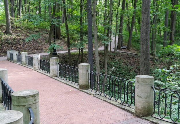 Antico ponte in pietra nel verde del parco