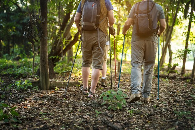 Anziani trekking in una foresta