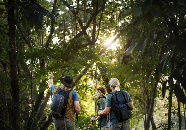 Anziani trekking in una foresta