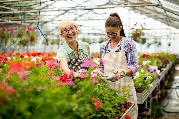 Anziano e giovani donne che lavorano insieme nel giardino fiorito al giorno pieno di sole