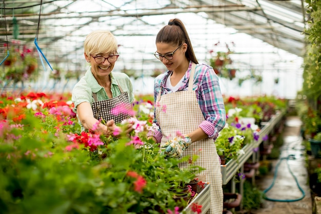 Anziano e giovani donne che lavorano insieme nel giardino fiorito al giorno pieno di sole