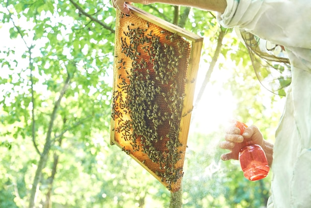 Apicoltore che lavora nel suo apiario con una cornice a nido d'ape