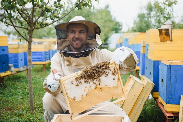 Apicoltore di apicoltura al lavoro api in volo