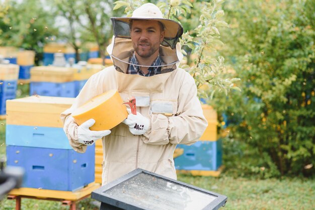 Apicoltore di apicoltura al lavoro api in volo