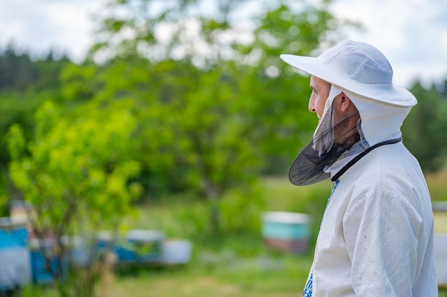 Apicoltore in abbigliamento da lavoro protettivo Sfondo di alveari all'apiario Lavori sugli apiari in primavera