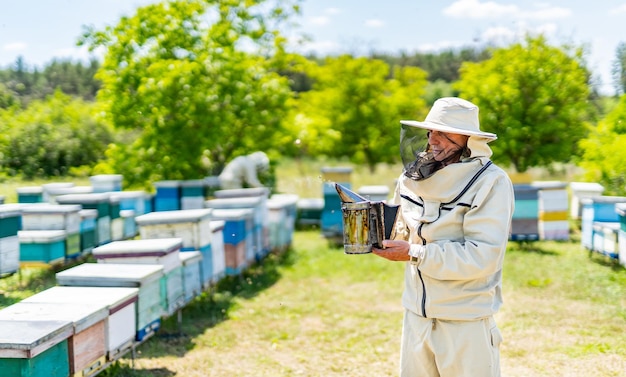 Apicoltore in apiario con favi Estate agricoltura miele biologico