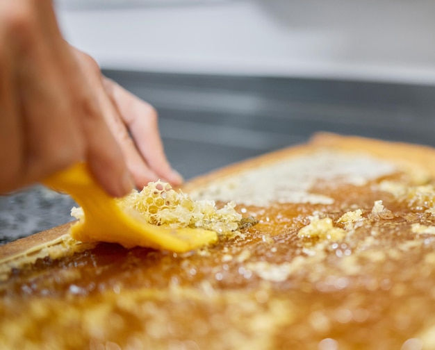 Apicoltura di estrazione e mani di un lavoratore con sostenibilità a nido d'ape e cibo naturale in una fattoria Processo agricolo e apicoltore con produzione di miele ecologico e biologico