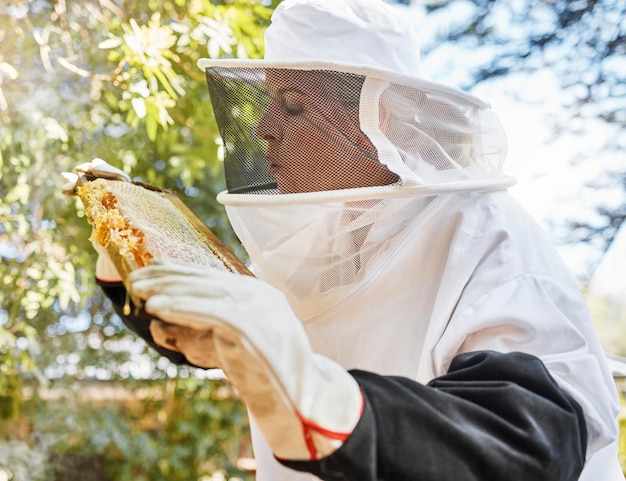 Apicoltura miele e agricoltura con un'agricoltrice che lavora all'aperto in campagna per prodotti naturali Frame farm e sostenibilità con un'apicoltrice anziana al lavoro durante la primavera