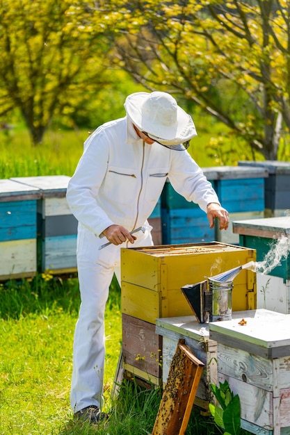 Apicoltura naturale estate favi di legno Raccolta all'aperto di cera d'api Concetto di apicoltura e piccola agricoltura