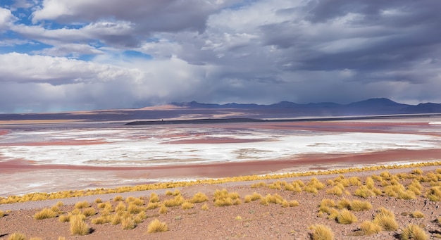 Appartamenti salati di Laguna Colorada a Potosi Bolivia Sud America