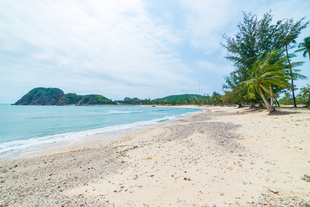 Appartato spiaggia tropicale turchese trasparente acqua palme, Bai Om baia non sviluppata Quy Nhon Vietnam costa centrale destinazione di viaggio, spiaggia di sabbia bianca chiaro cielo blu