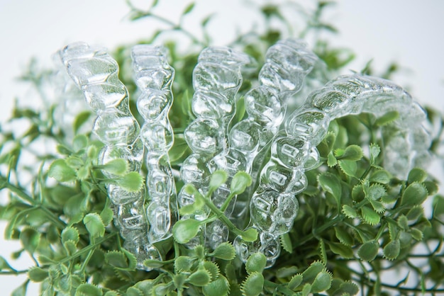 Appoggi dentali di plastica per il raddrizzamento dei denti appesi a foglie verdi di piante da camera