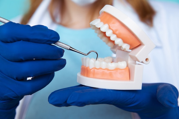 Appuntamento dal dentista, strumenti di odontoiatria e concetto di controllo igienista dentale con dentiere modello denti