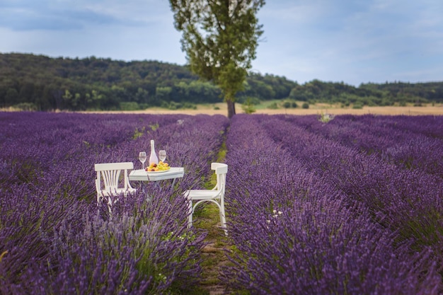 Appuntamento romantico sul campo di lavanda