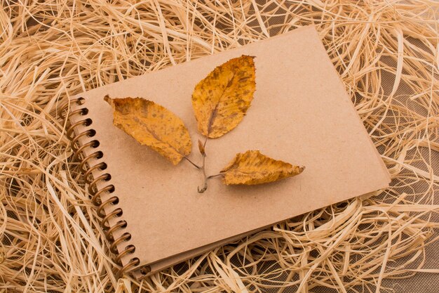 Apra il taccuino in bianco con i fogli di autunno caduti come fondo