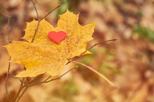 Apri il simbolo del cuore puro, copia lo spazio.