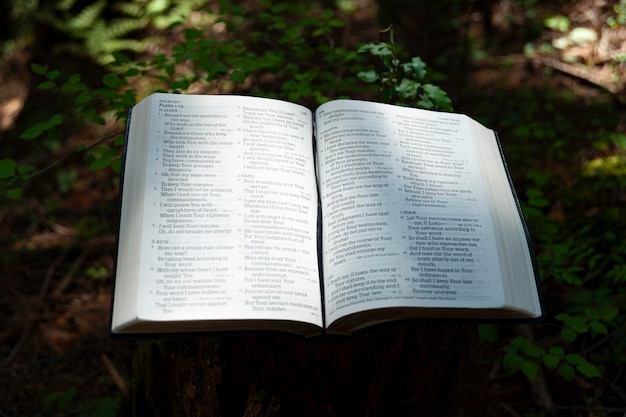 Apri la Sacra Bibbia sul Salmo 119 all'aperto sul pulpito del tronco d'albero tagliato