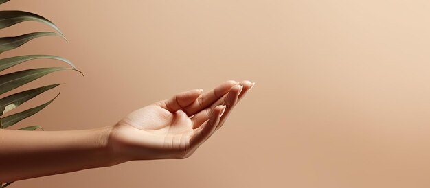 Aprire la mano femminile vuota isolata su sfondo color crema con lo spazio per la copia rivolto verso l'alto per la visualizzazione del prodotto