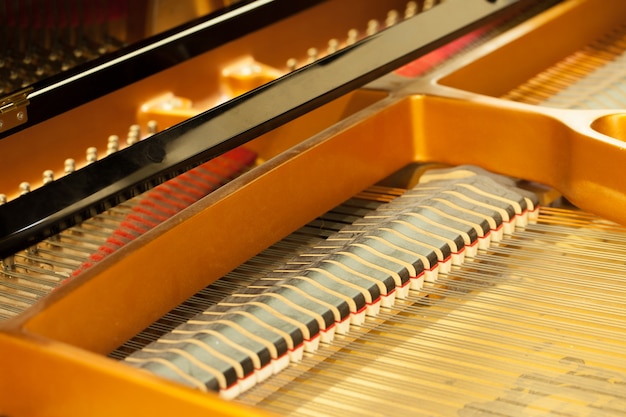 aprire un pianoforte, archi.