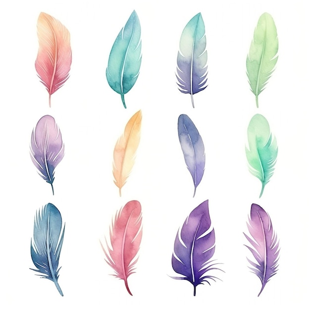 Aquarelle Feather Set di piume colorate