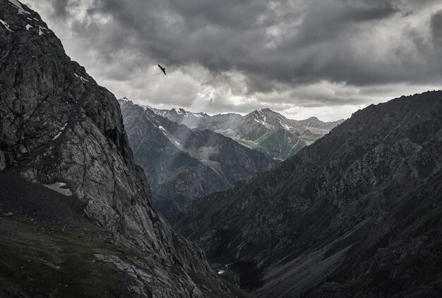 Aquila in montagna