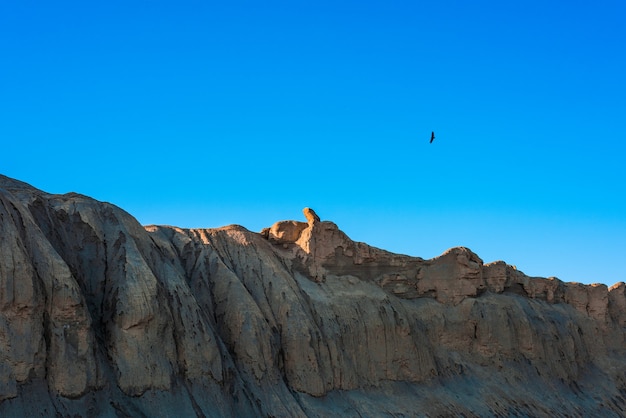 Aquila in volo sulle rocce